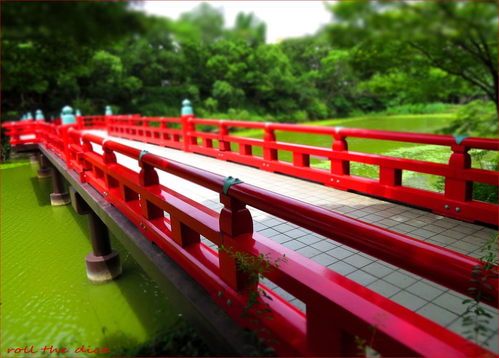 🏞️ 카와조코 연못 이미지 2